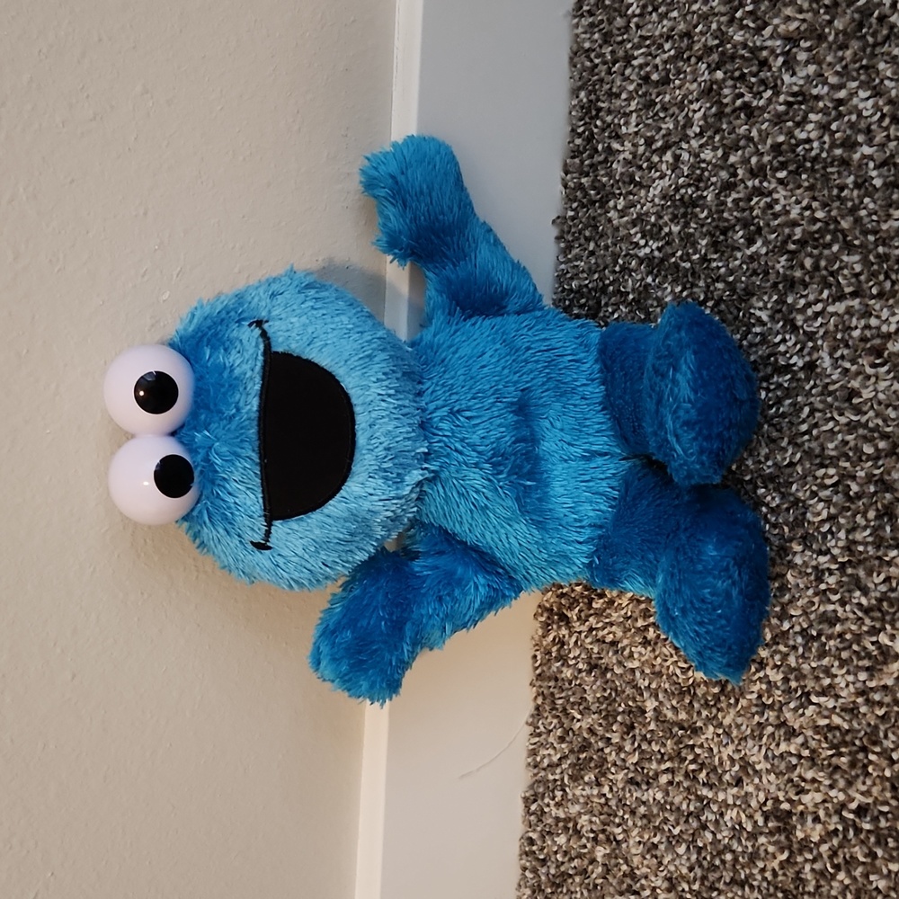 Cookie Monster